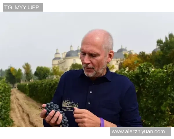 伦敦之王易主?3350万镑豪赌,布伦南·约翰逊能否在塞尔赫斯特公园破茧成蝶? 伦敦之王易主?3350万镑豪赌,布伦南·约翰逊能否在塞尔赫斯特公园破茧成蝶?